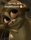 IMG_1981.jpeg