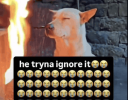1786227746225.png 1786227746225.png