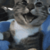 1787351987350.png
