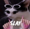 1787746203562.png
