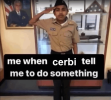 cerbi.png