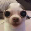 heavy-breathing-creature.gif