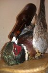 drinkingbird.jpg drinkingbird.jpg