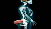 1793297207500.png