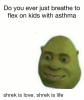 memeshrek.png