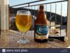 bottle-and-glass-of-efes-pilsen-beer-turkey-GFPGXR.jpg