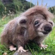 Haggis McTavish