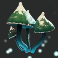 c00nn00r