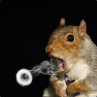 VapingSquirrel