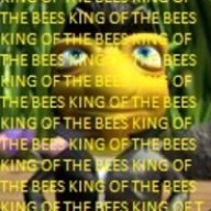 KINGOFTHEBEES
