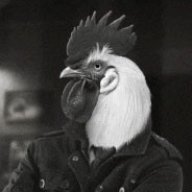 Chickening