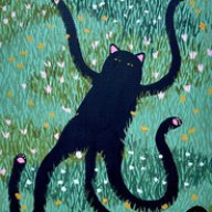 dariuskatze
