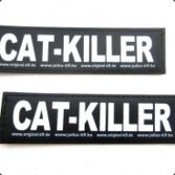 catkiller34