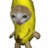 HomieGamer
