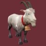 R Goat