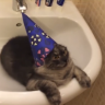 caj