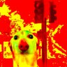 Thkzr22