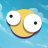 Surfy