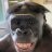 monke1