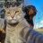 tom.angd