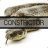 |HS| Constrictor